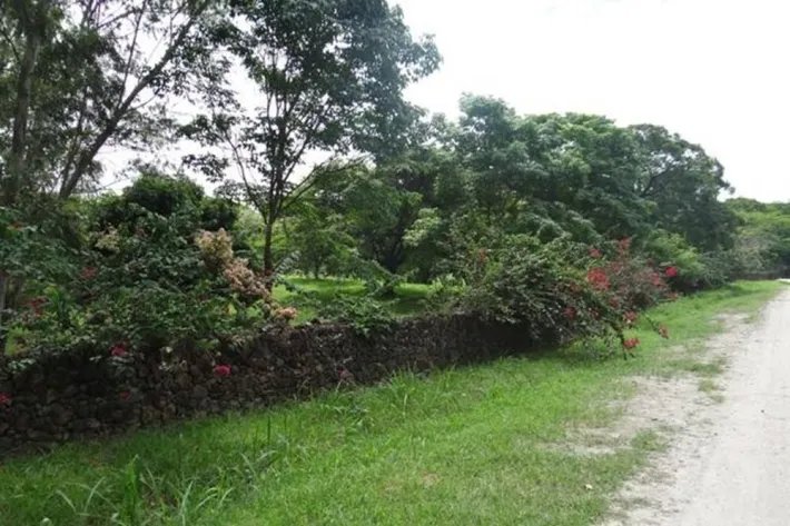 Farm for Sale in Las Lagartijas, San Carlos