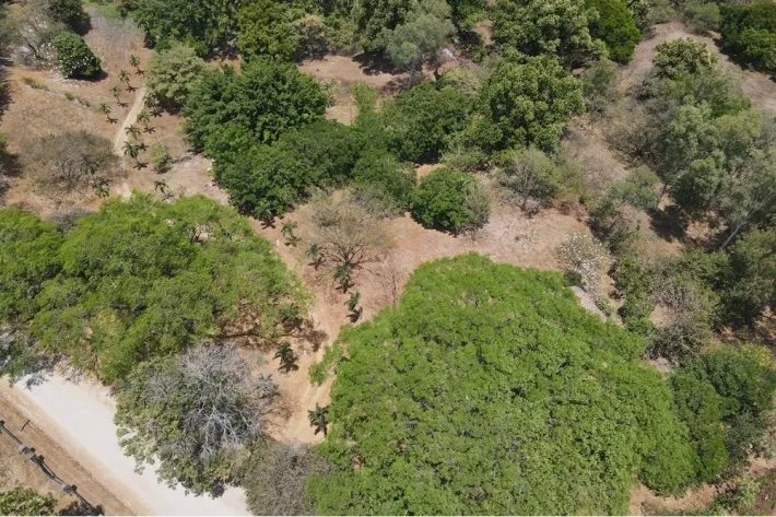 Farm for Sale in Las Lagartijas, San Carlos
