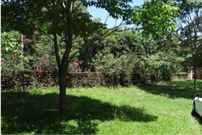 Farm for Sale in Las Lagartijas, San Carlos