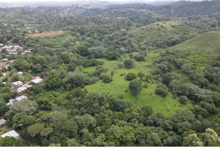 Land for sale in San Vicente de Bique, Arraiján
