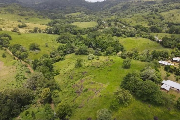 Finca for sale in La Chorrera, Panama West