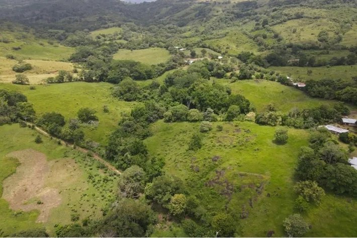 Finca for sale in La Chorrera, Panama West