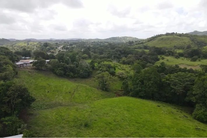 Finca for sale in La Chorrera, Panama West
