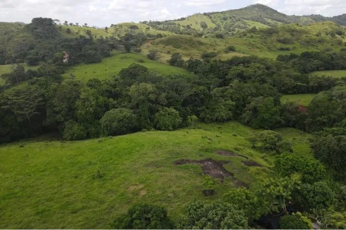Finca for sale in La Chorrera, Panama West
