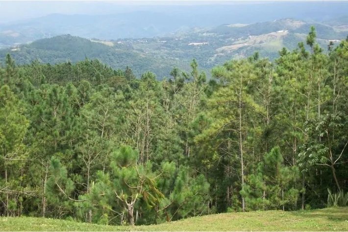 House for sale in Altos del María, Chame
