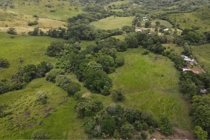 Finca for sale in La Chorrera, Panama West