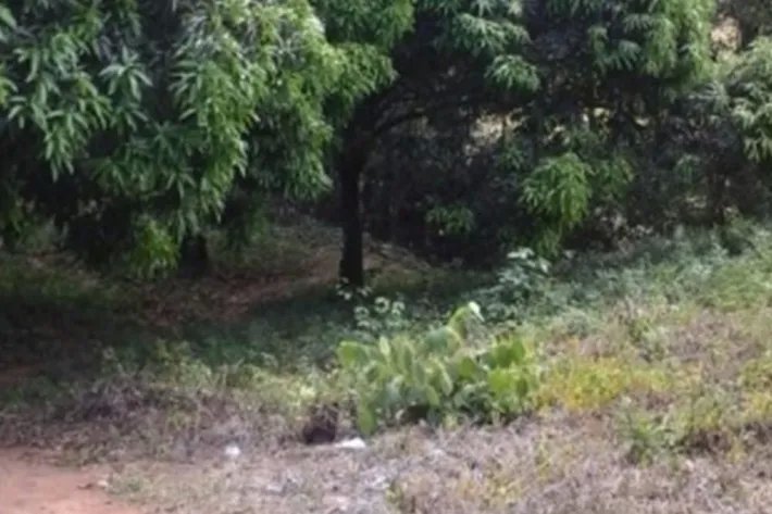 Se vende terreno en Chilibre, Panamá