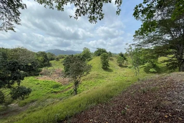Finca for sale in Viento Frío, Santa Isabel