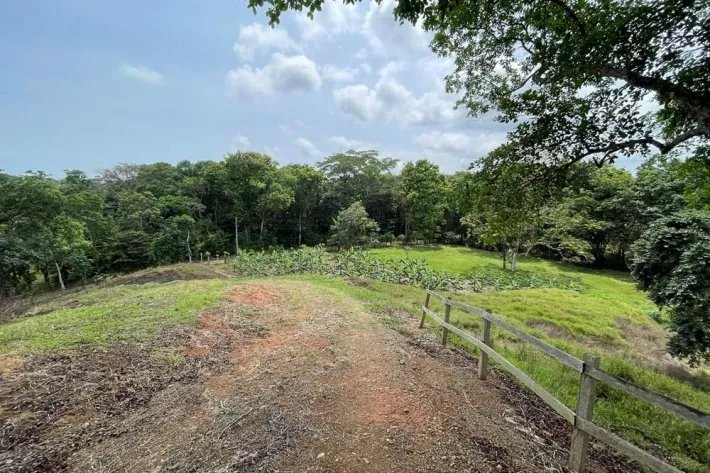 Finca for sale in Viento Frío, Santa Isabel