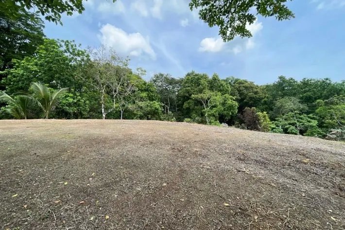 Finca for sale in Viento Frío, Santa Isabel