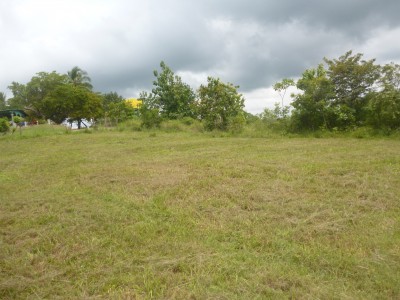 14430 - San carlos - lots