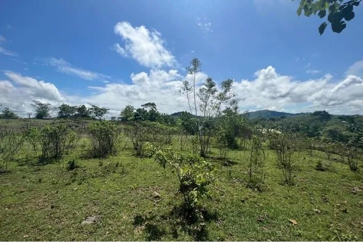 Venta de fincas en Coronado, Panamá Oeste