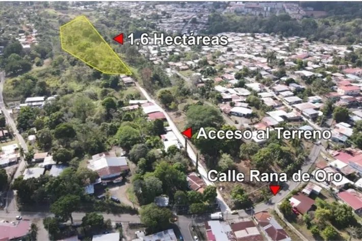 Sale of land in La Rana de Oro, Pedregal, Panama
