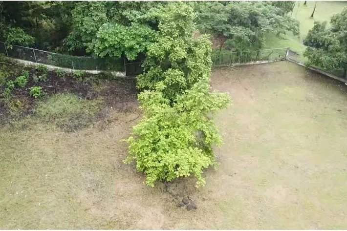 Land lot for sale in El Espave, Panama Oeste