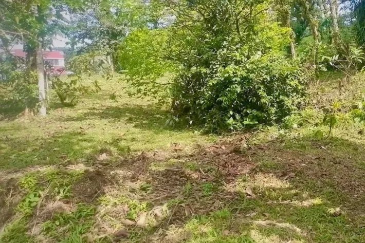 Land lot 91 for sale, La Laguna, Altos del Maria, San Carlos