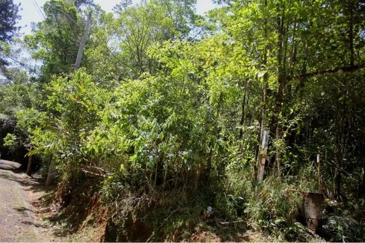 Land for sale in Altos de Cerro Azul, Panama