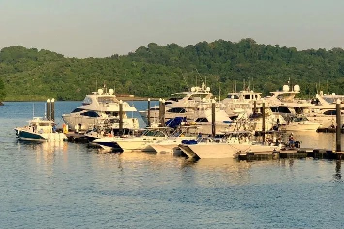 Villa for Sale in the Panamanian Pacific
