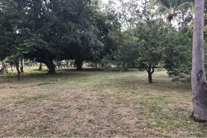 Land for sale in Gorgona, West Panama
