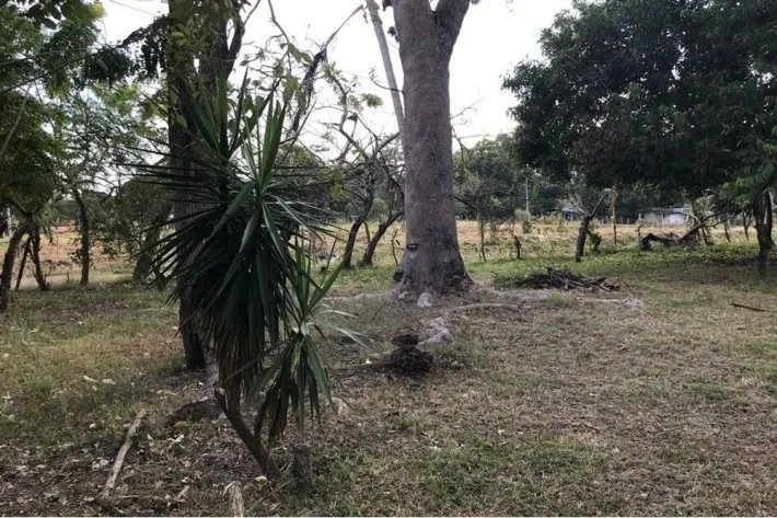 Land for sale in Gorgona, West Panama