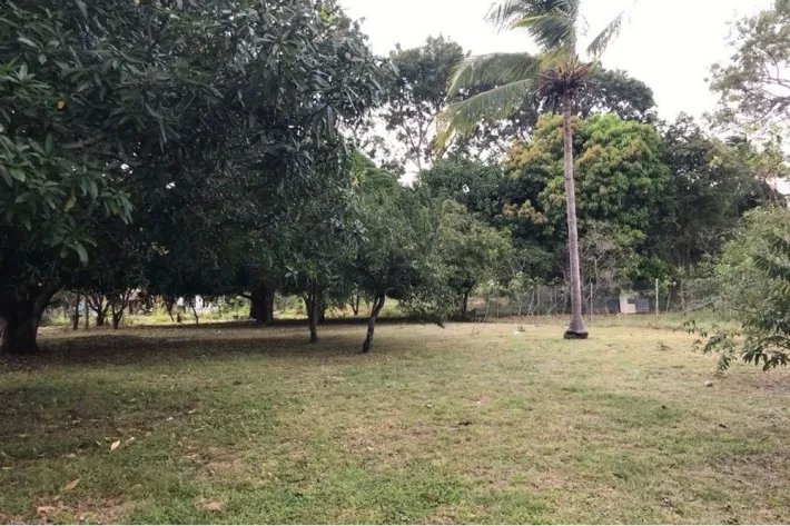 Land for sale in Gorgona, West Panama