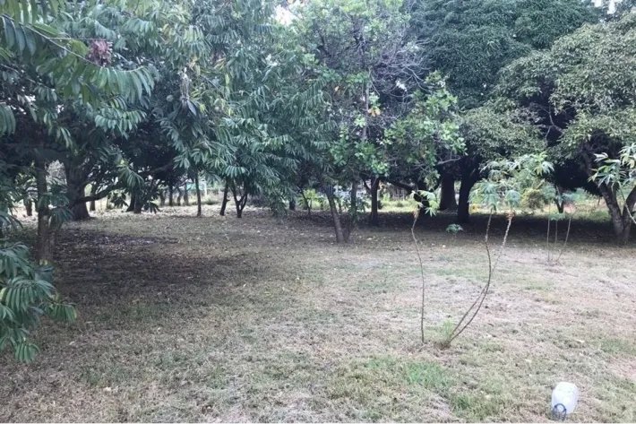 Land for sale in Gorgona, West Panama