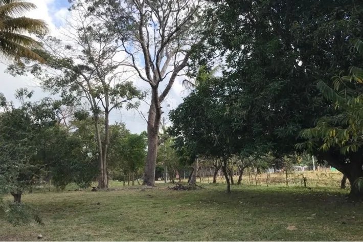 Land for sale in Gorgona, West Panama