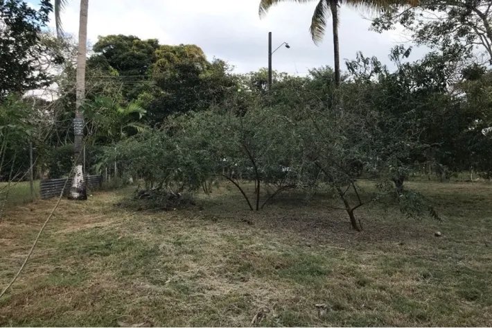 Land for sale in Gorgona, West Panama