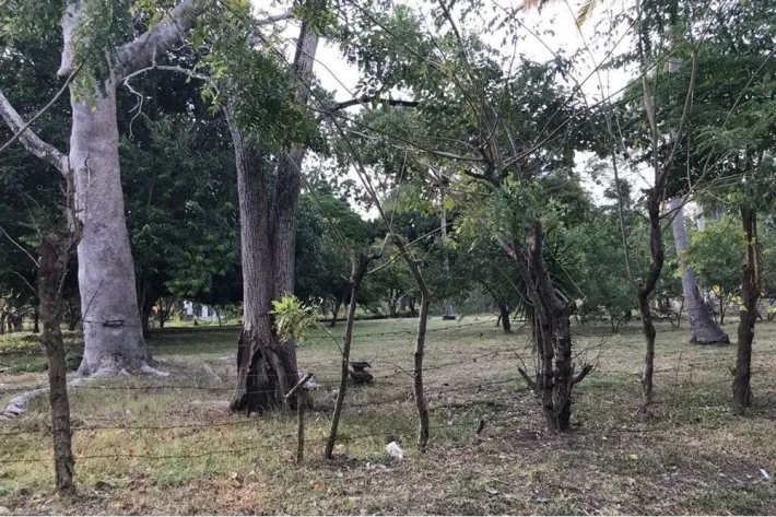 Land for sale in Gorgona, West Panama