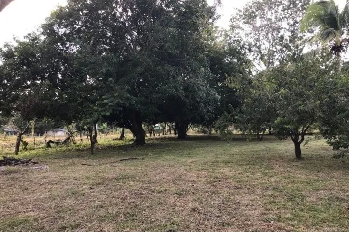 Land for sale in Gorgona, West Panama