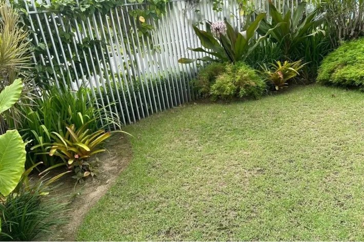Apartment for rent in Ocean Reef, San Francisco, Panama