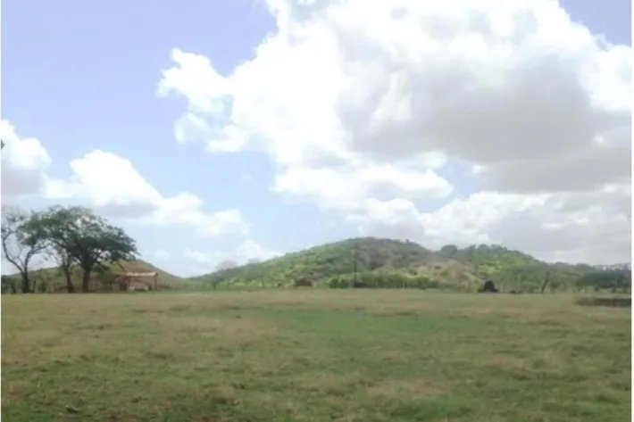 Venta de finca en Pesé, Herrera, Panamá