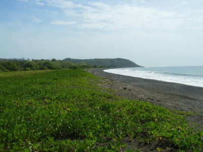 14551 - Tonosí - lotes