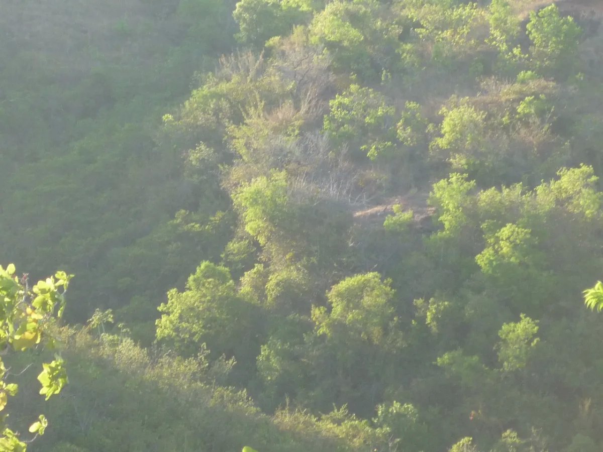 Venta de Terreno en Calobre