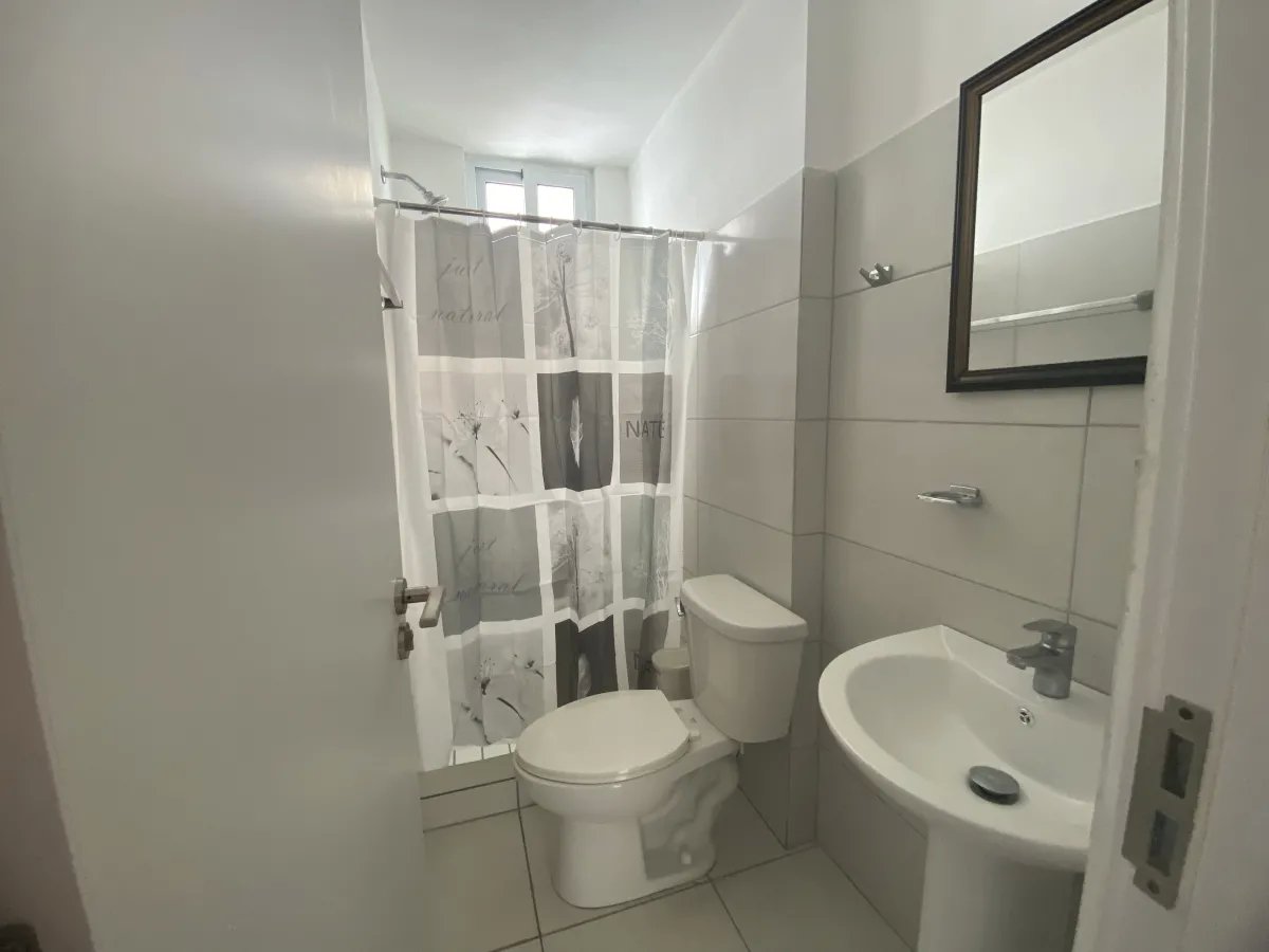 Apartment Sale and Rent in El Crisol