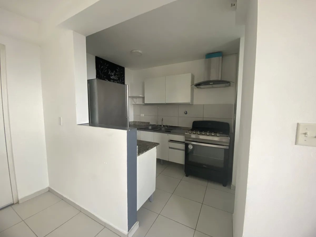 Apartment Sale and Rent in El Crisol