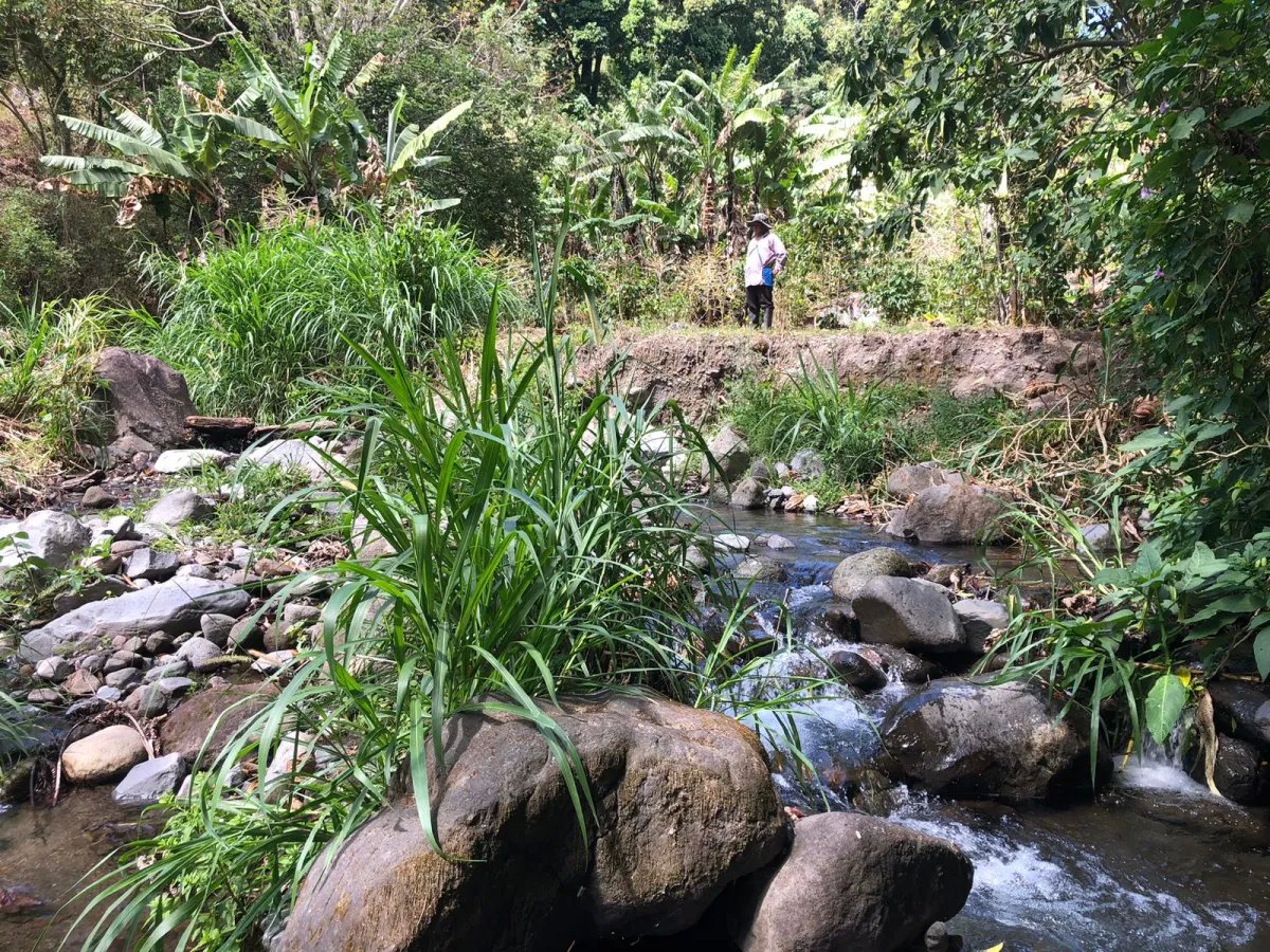 Unimproved Land For Sale in Volcancito