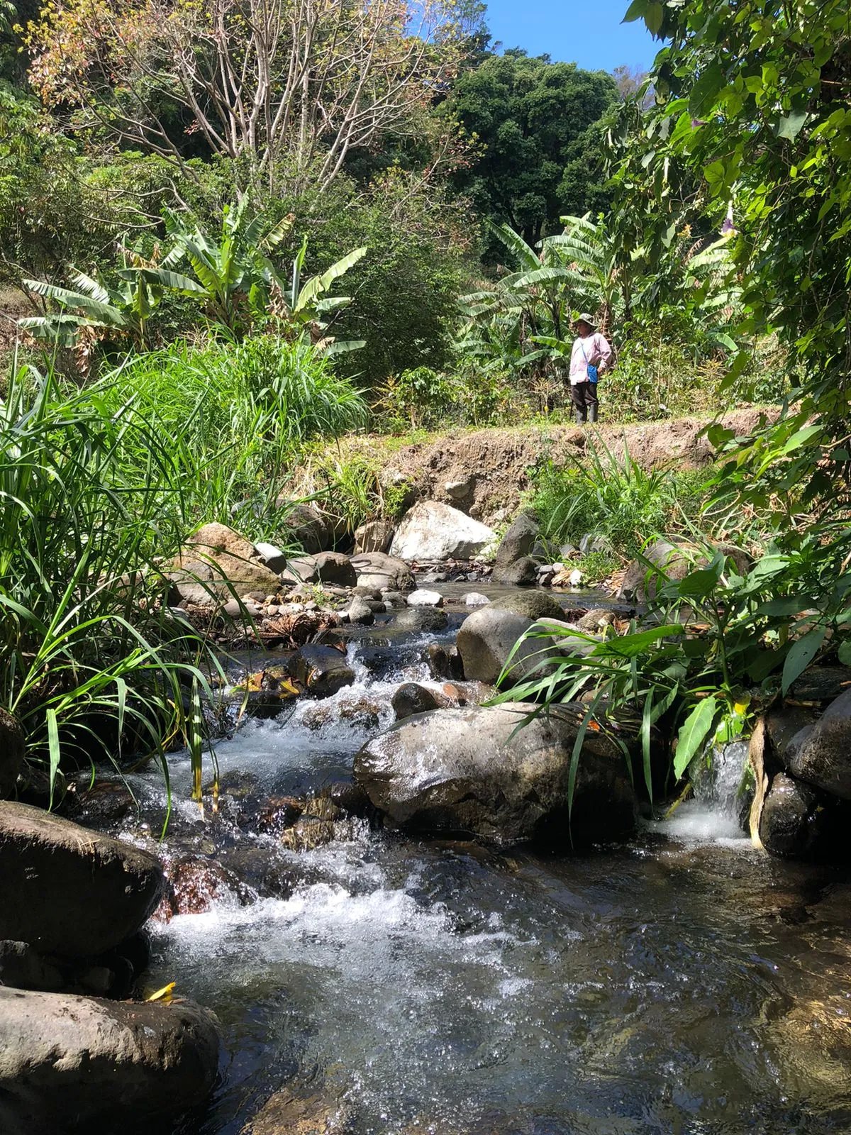 Unimproved Land For Sale in Volcancito