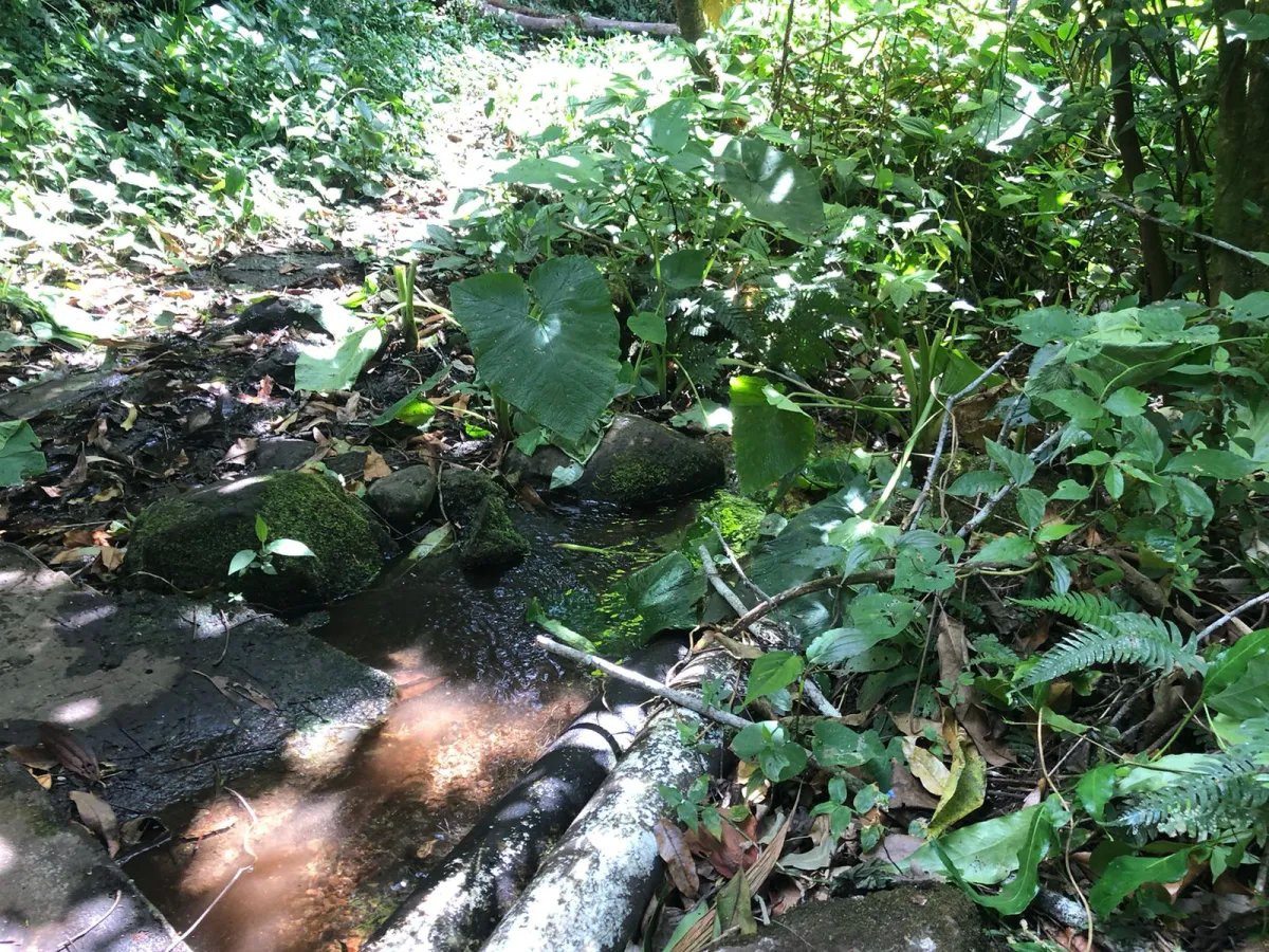 Unimproved Land For Sale in Volcancito