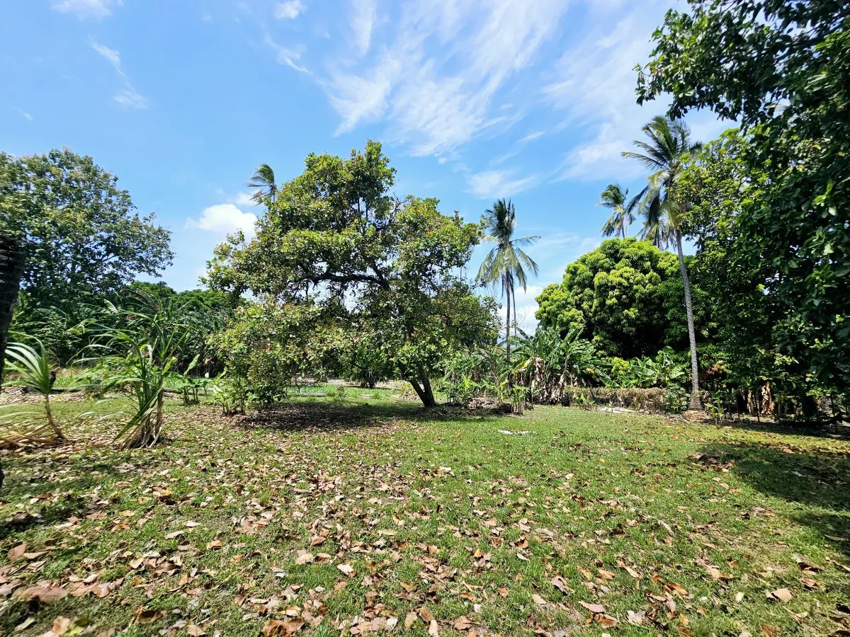 House For Sale in Chame