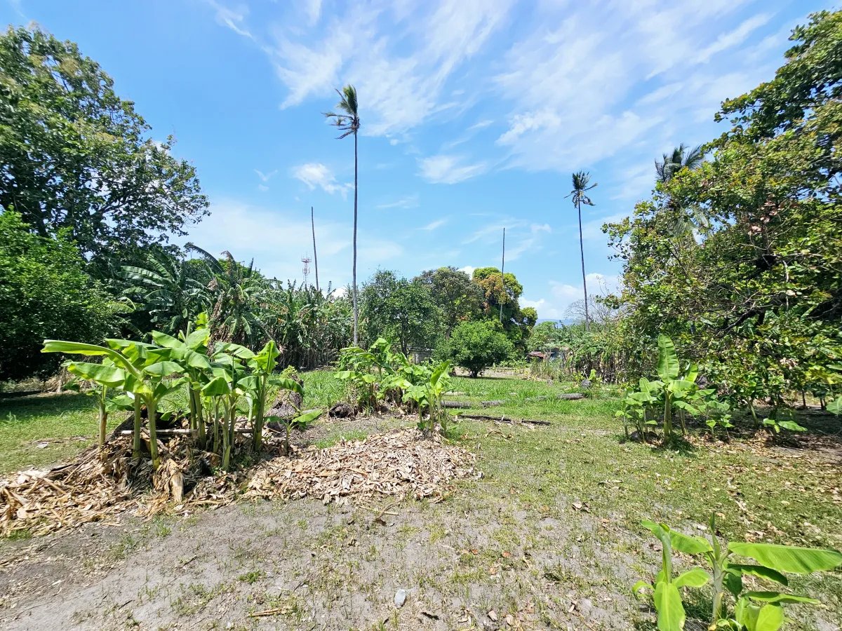 House For Sale in Chame