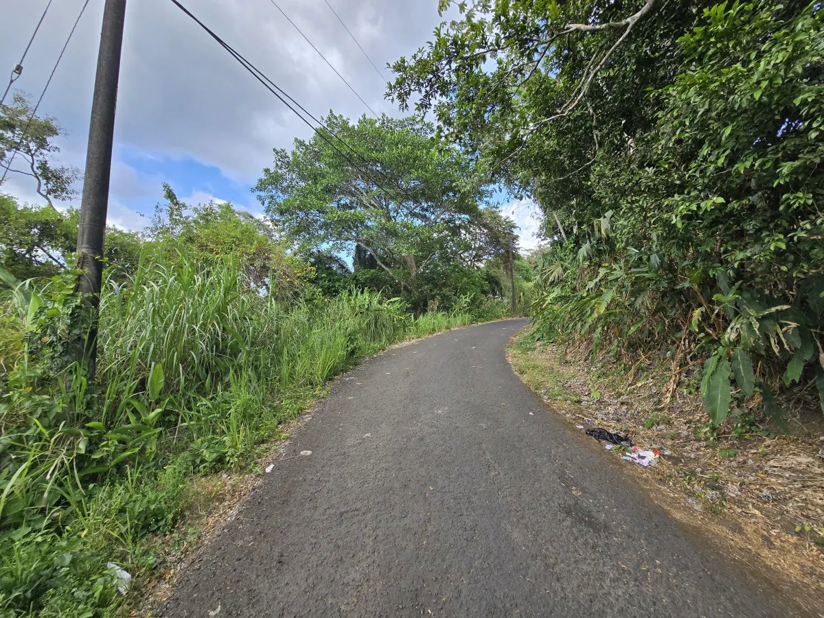 Mobile Home For Sale in Las Cumbres