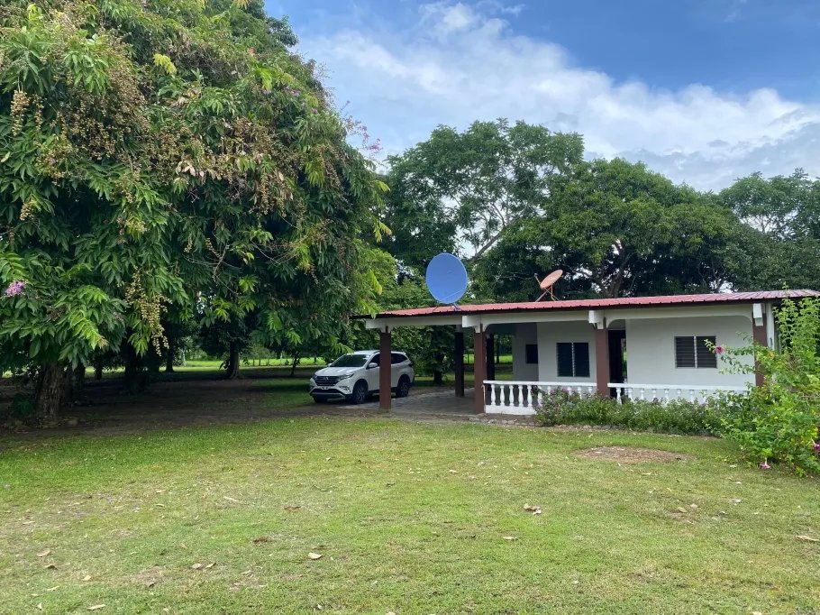 Farm For Sale in Guasimo