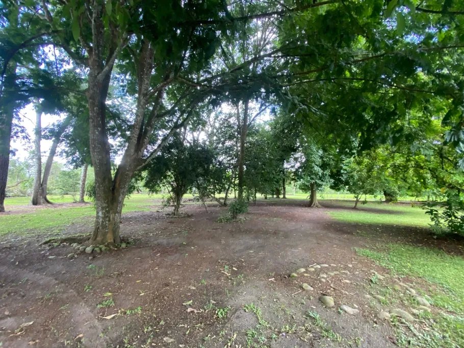 Farm For Sale in Guasimo