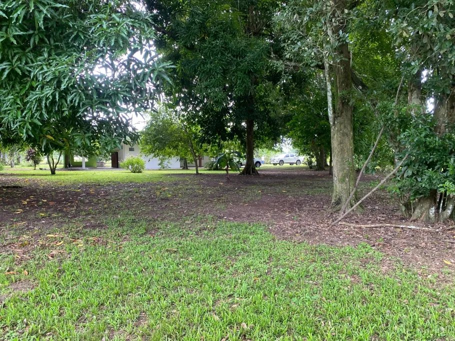 Farm For Sale in Guasimo