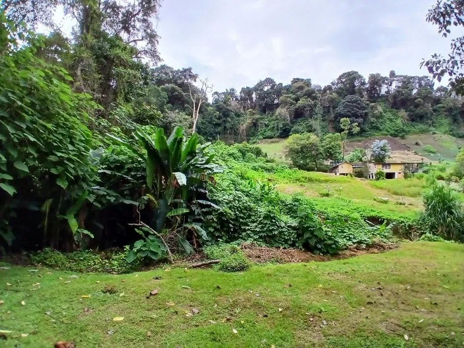 Single Family Attached For Sale in Nueva Suiza