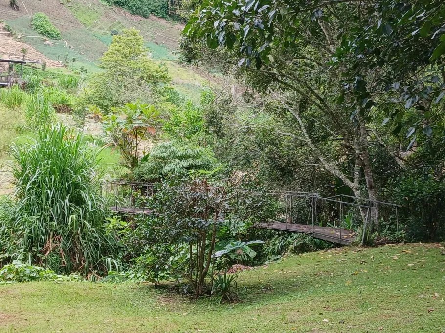 Single Family Attached For Sale in Nueva Suiza