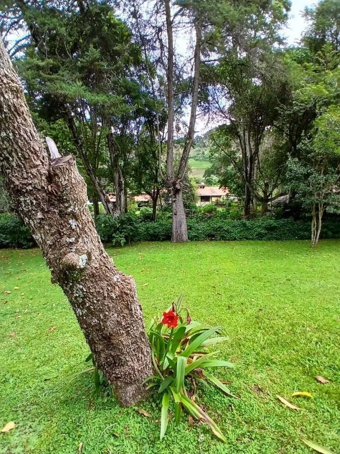 Single Family Attached For Sale in Nueva Suiza