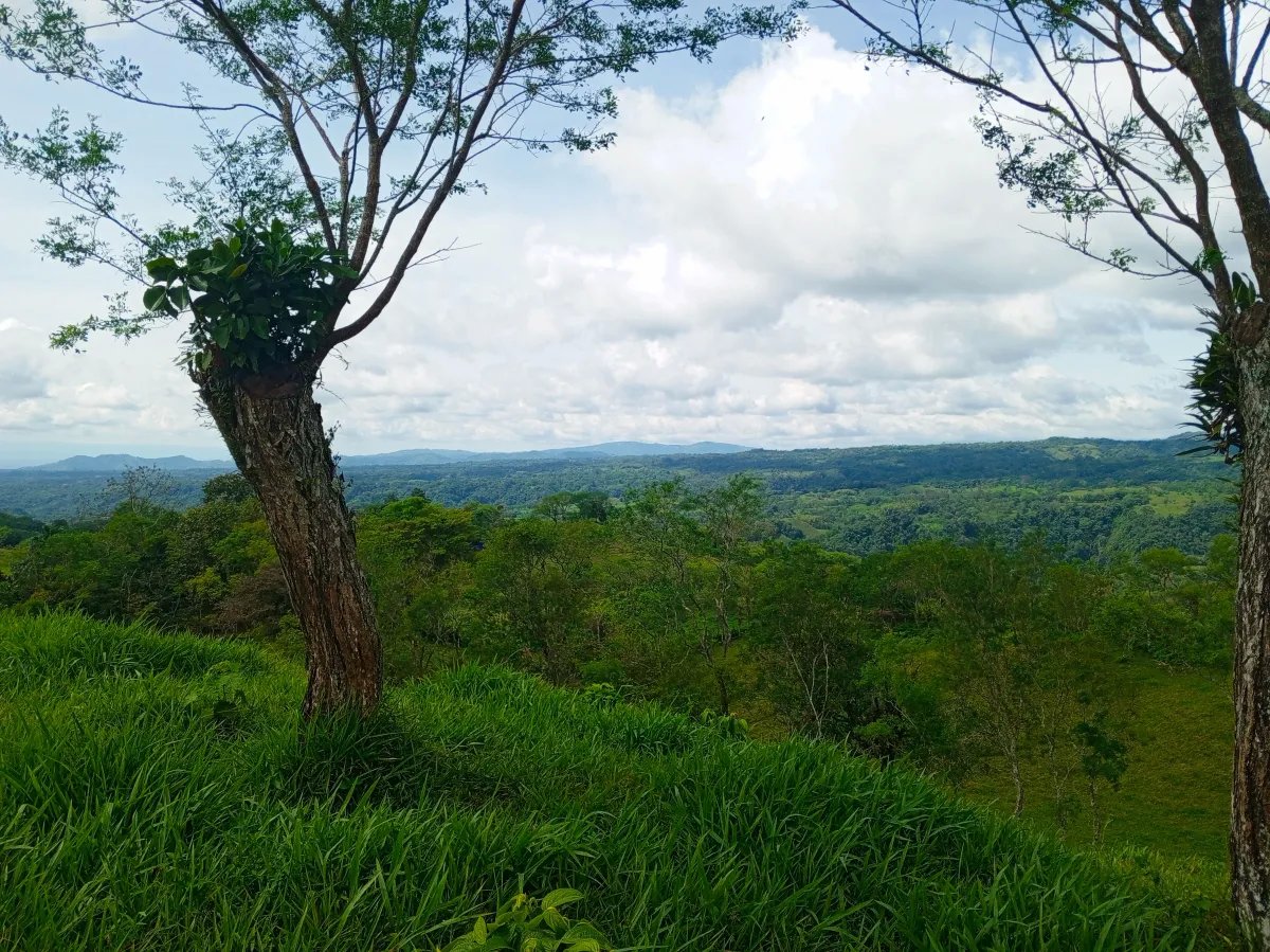 21.7-Hectare Farm for Sale in Santa Rosa, Bugaba, Chiriquí, Panama | Highland Agricultural Land & Investment Opportunity