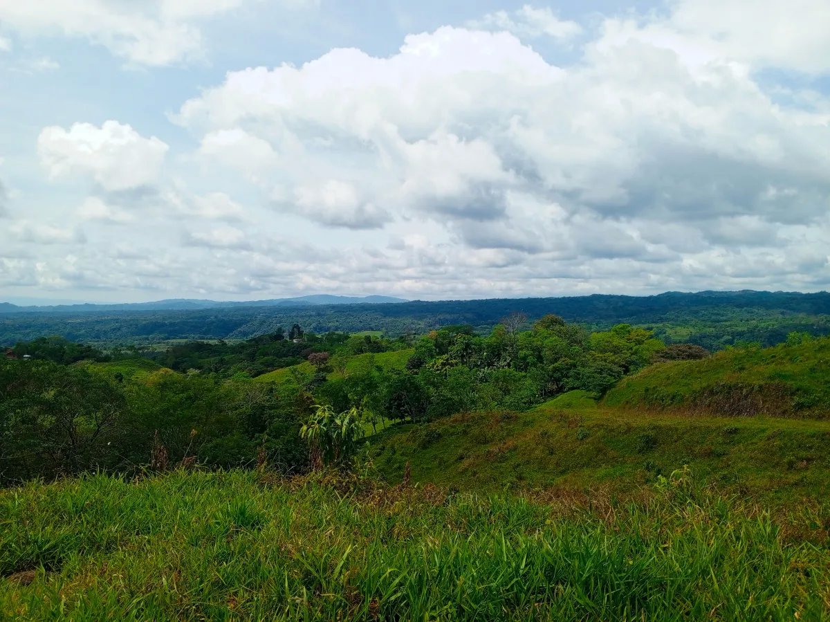 Finca de 21.7 Hectáreas en Venta en Santa Rosa, Bugaba, Chiriquí, Panamá | Tierra Agrícola de Altura y Oportunidad de Inversión