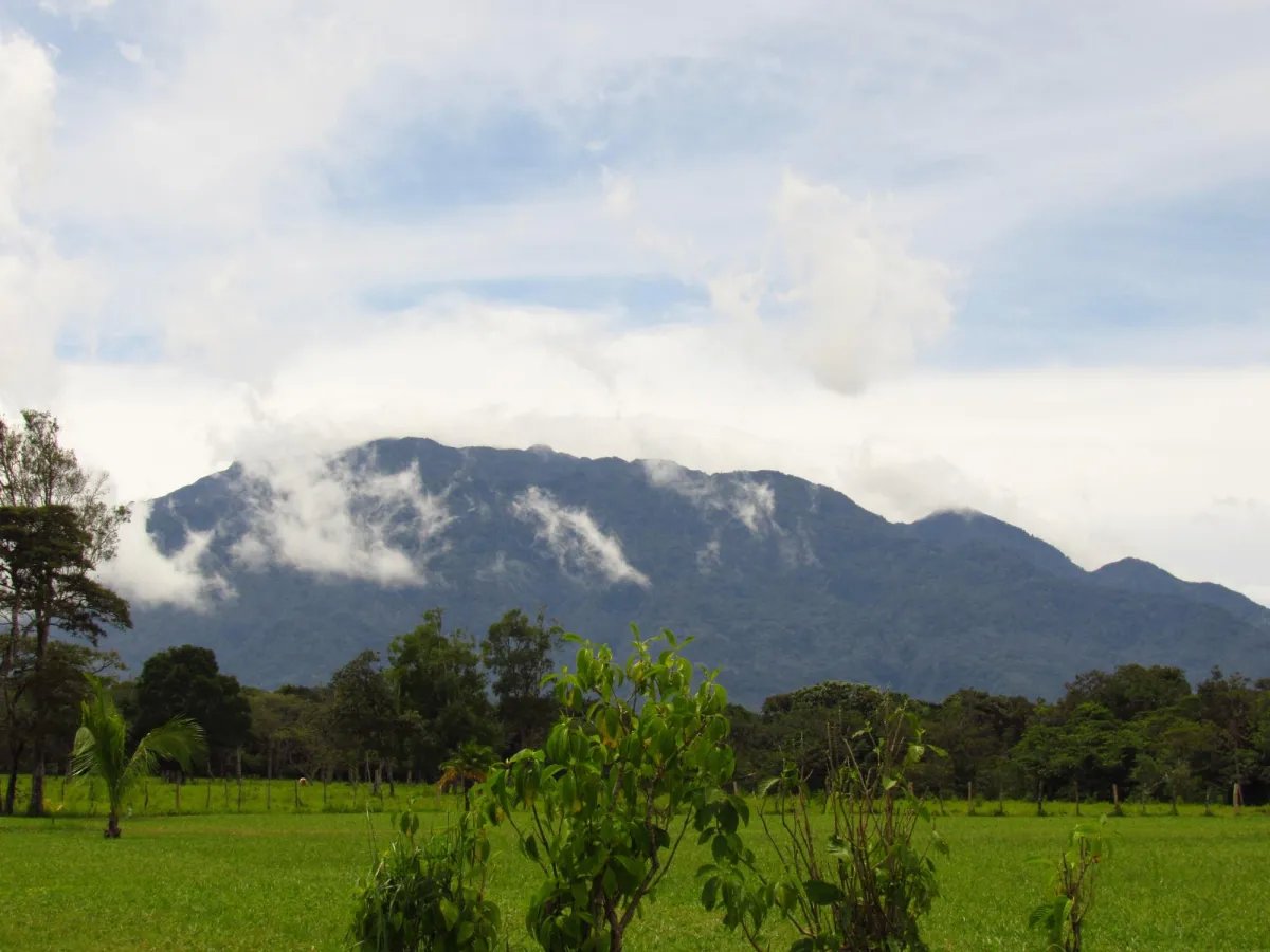 Lot For Sale in Potrerillos |  6059m² |  Chiriqui | Panama